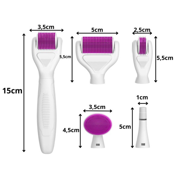DERMA ROLLER за микроиглена мезотерапия лице, шия и тяло, комплект 6в1