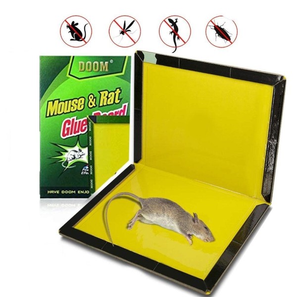 Лепящ капан за мишки среден и голям MouseTrap