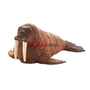 Морж