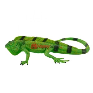 Игуана
